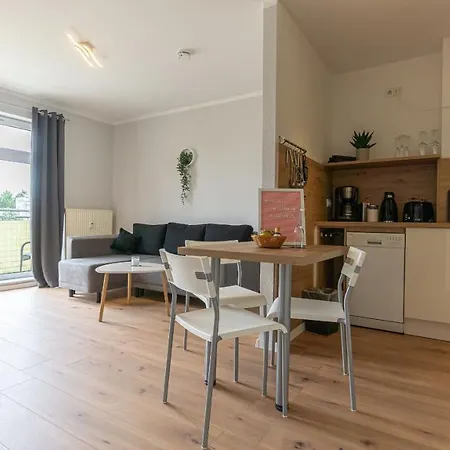 Central Apartment, 55M2, Kitchen, Washer, Netflix, Parking Cottbus Exterior photo