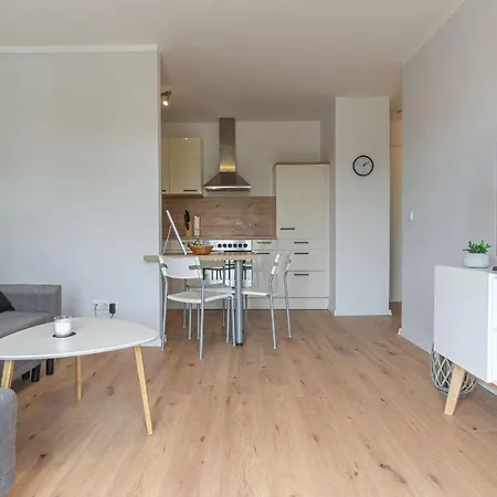 Central Apartment, 55M2, Kitchen, Washer, Netflix, Parking Cottbus Exterior photo